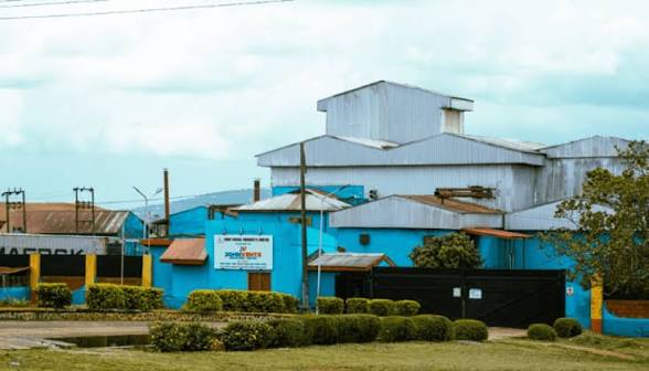 Johnvents Targets ₦80bn To Finance Nigeria's Cocoa Harvest